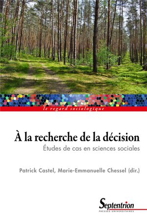 A La Recherche De La Decision : Etudes De Cas En Sciences Sociales 