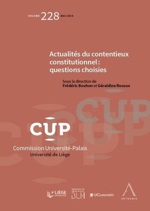 Actualites Du Contentieux Constitutionnel : Questions Choisies 