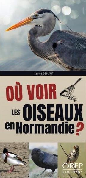 Ou Voir Les Oiseaux En Normandie ? 