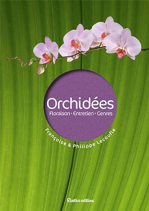 Orchidees 