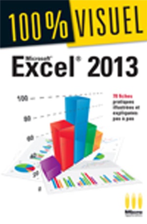 100 % Visuel : Excel 2013 