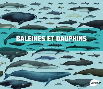 Baleines Et Dauphins ; Histoire Naturelle Et Guide Des Especes 