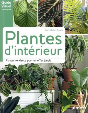 Plantes D'interieur ; Plantes Tendances Pour Un Effet Jungle 