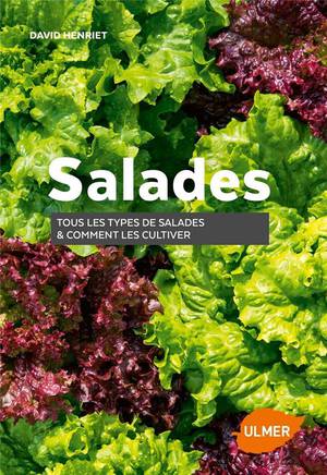 Salades ; Tous Les Types De Salades & Comment Les Cultiver 