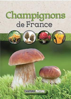 Champignons de France  