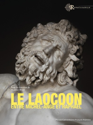 Le Laocoon Entre Michel-ange Et Raphael : Un Ressort De L'emulation 