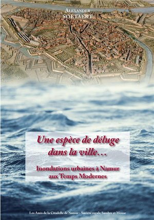 Une Espece De Deluge Dans La Ville... Inondations Urbaines A Namur Aux Temps Modernes 