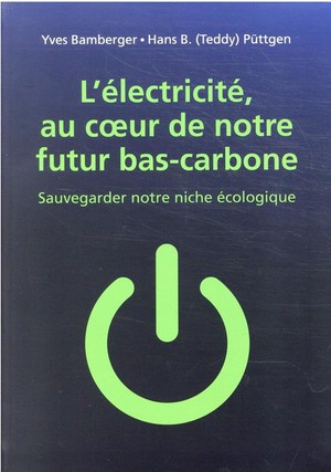 Electricite : Vers Un Futur Decarbone 