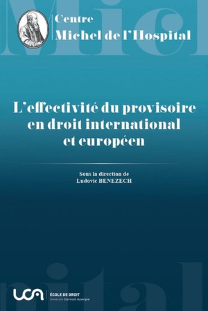 L Effectivite Du Provisoire En Droit International Et Europeen - Vol20 