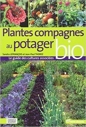 Plantes Compagnes Au Potager Bio 