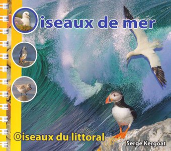 Oiseaux De Mer - Oiseaux Du Littoral 