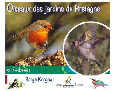 Oiseaux Des Jardins De Bretagne : 60 Especes 