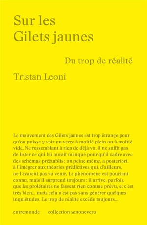 Sur Les Gilets Jaunes : Du Trop De Realite 