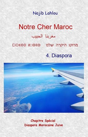 Notre Cher Maroc T.4 : Diaspora 