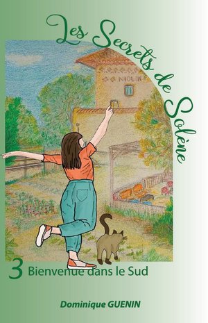 Les Secrets De Solene Tome 3 : Bienvenue Dans Le Sud 