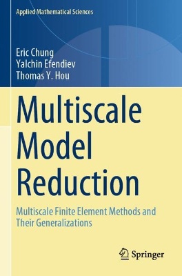 Multiscale Model Reduction
