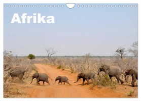 Afrika (Wandkalender 2025 DIN A4 quer), CALVENDO Monatskalender
