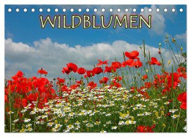 Wildblumen 2025 (Tischkalender 2025 DIN A5 quer), CALVENDO Monatskalender