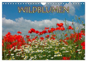 Wildblumen 2025 (Wandkalender 2025 DIN A4 quer), CALVENDO Monatskalender