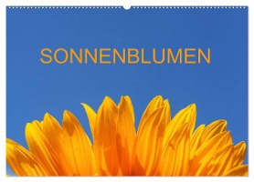 Sonnenblumen (Wandkalender 2025 DIN A2 quer), CALVENDO Monatskalender