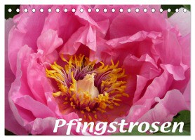 Pfingstrosen (Tischkalender 2025 DIN A5 quer), CALVENDO Monatskalender