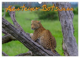 Abenteuer Botswana Afrika - Adventure Botswana (Wandkalender 2025 DIN A3 quer), CALVENDO Monatskalender