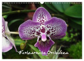 Farbenreiche Orchideen (Wandkalender 2025 DIN A3 quer), CALVENDO Monatskalender
