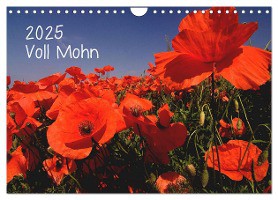 Voll Mohn (Wandkalender 2025 DIN A4 quer), CALVENDO Monatskalender