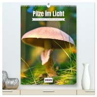 Pilze im Licht (hochwertiger Premium Wandkalender 2025 DIN A2 hoch), Kunstdruck in Hochglanz