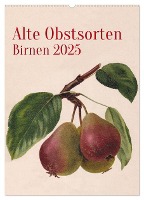 Alte Obstsorten - Birnen 2025 (Wandkalender 2025 DIN A2 hoch), CALVENDO Monatskalender