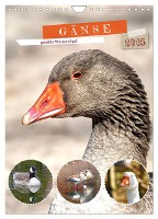 Gänse, geliebte Wasservögel (Wandkalender 2025 DIN A4 hoch), CALVENDO Monatskalender