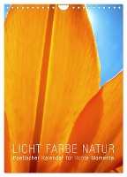 Licht Farbe Natur (Wandkalender 2025 DIN A4 hoch), CALVENDO Monatskalender