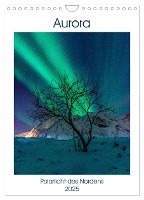 Aurora - Polarlicht des Nordens (Wandkalender 2025 DIN A4 hoch), CALVENDO Monatskalender