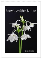Poesie weißer Blüten (Wandkalender 2025 DIN A2 hoch), CALVENDO Monatskalender