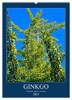 Ginkgo (Wandkalender 2025 DIN A2 hoch), CALVENDO Monatskalender