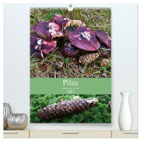 Pilze - Farbenpracht im Wald (hochwertiger Premium Wandkalender 2025 DIN A2 hoch), Kunstdruck in Hochglanz