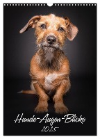 Hunde-Augen-Blicke (Wandkalender 2025 DIN A3 hoch), CALVENDO Monatskalender