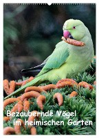 Bezaubernde Vögel im heimischen Garten (Wandkalender 2025 DIN A2 hoch), CALVENDO Monatskalender