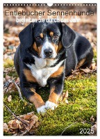 Entlebucher Sennenhunde begleiten Sie durch das Jahr (Wandkalender 2025 DIN A3 hoch), CALVENDO Monatskalender