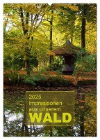 Impressionen aus unserem Wald (Wandkalender 2025 DIN A2 hoch), CALVENDO Monatskalender