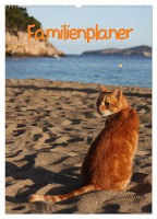 Familienplaner Katzen (Wandkalender 2025 DIN A2 hoch), CALVENDO Monatskalender