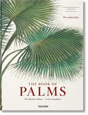 Martius ; The Book Of Palms 