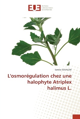 L'osmor�gulation chez une halophyte Atriplex halimus L.