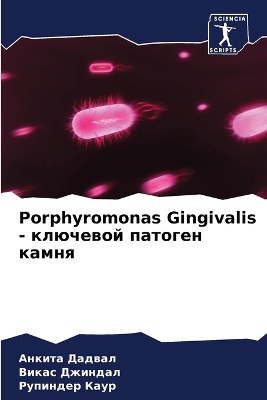 Porphyromonas Gingivalis - ключевой патоген камня