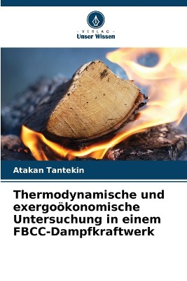 Thermodynamische und exergo�konomische Untersuchung in einem FBCC-Dampfkraftwerk