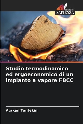 Studio termodinamico ed ergoeconomico di un impianto a vapore FBCC