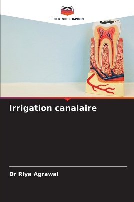 Irrigation canalaire