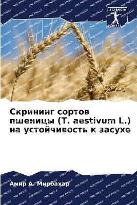 Скрининг сортов пшеницы (T. aestivum L.) на устойчивос&#10
