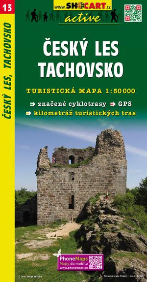 Cesky les - Tachovsko 013 