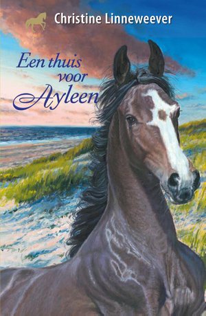 Een thuis voor Ayleen 